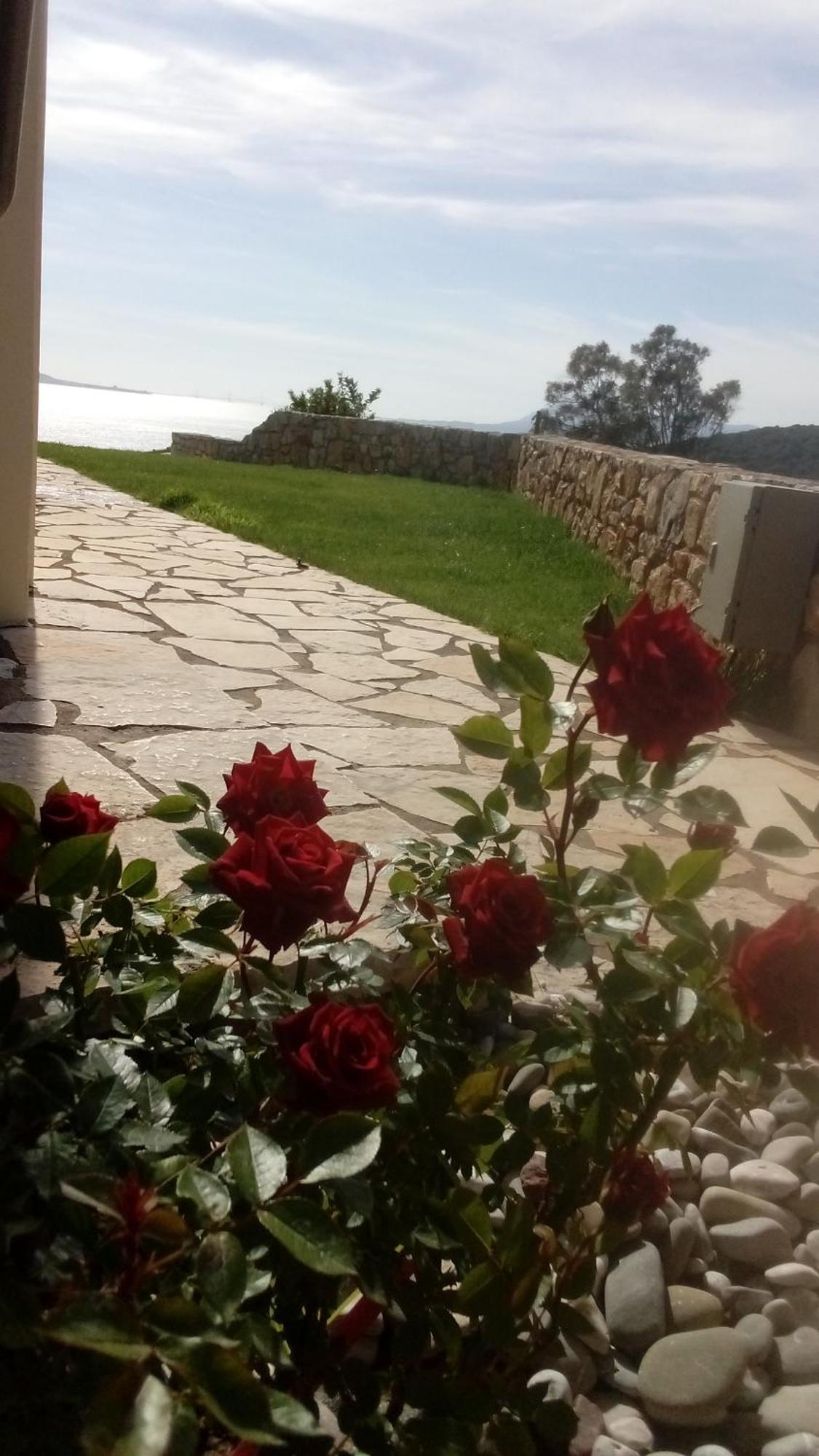 Princess Of Blue Eagles Retreat Skaloma Exterior foto